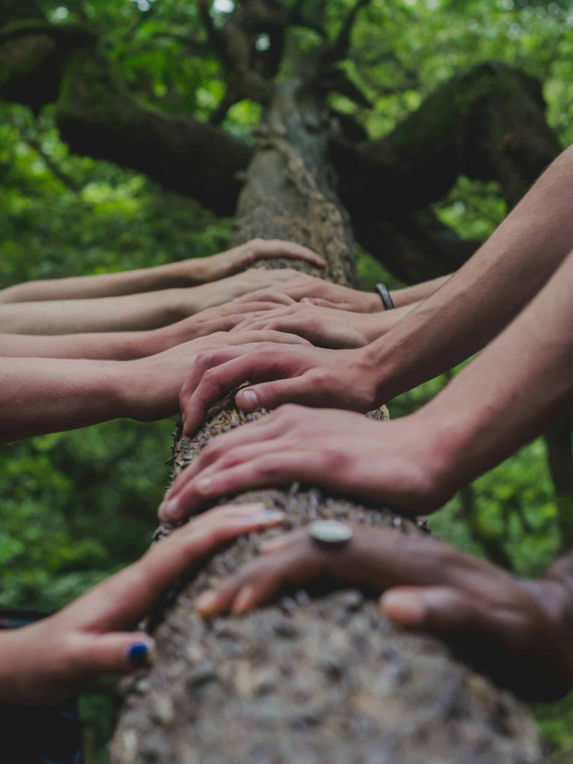 Misja mybetterlife – wsparcie psychiczne dla każdego i rozwój osobisty.